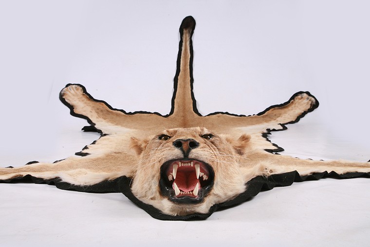 Rug Mount